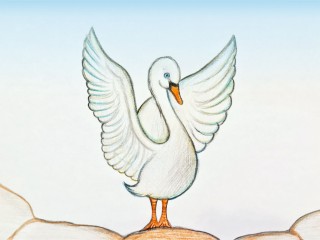 05