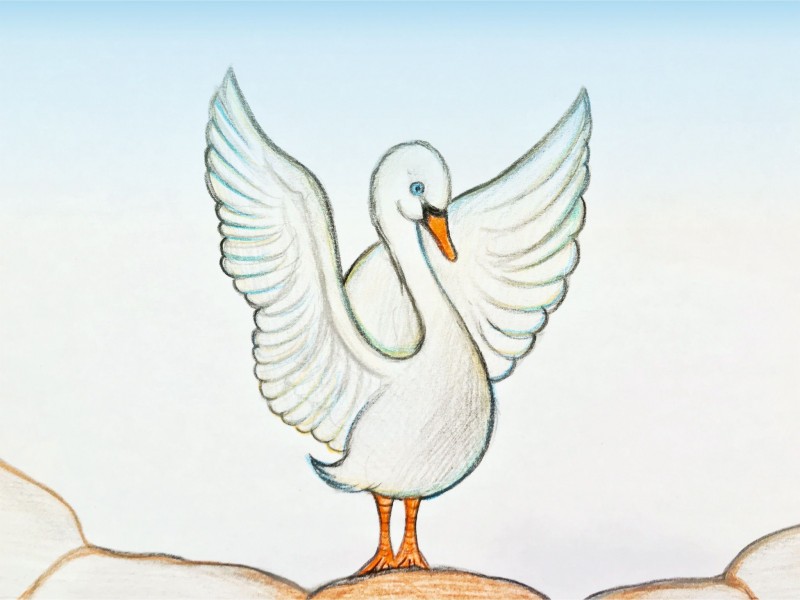 05
